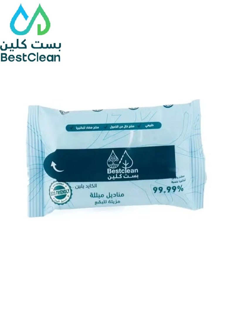 Bestclean Stain Remover Wet Wipes - 1piece - Image 1