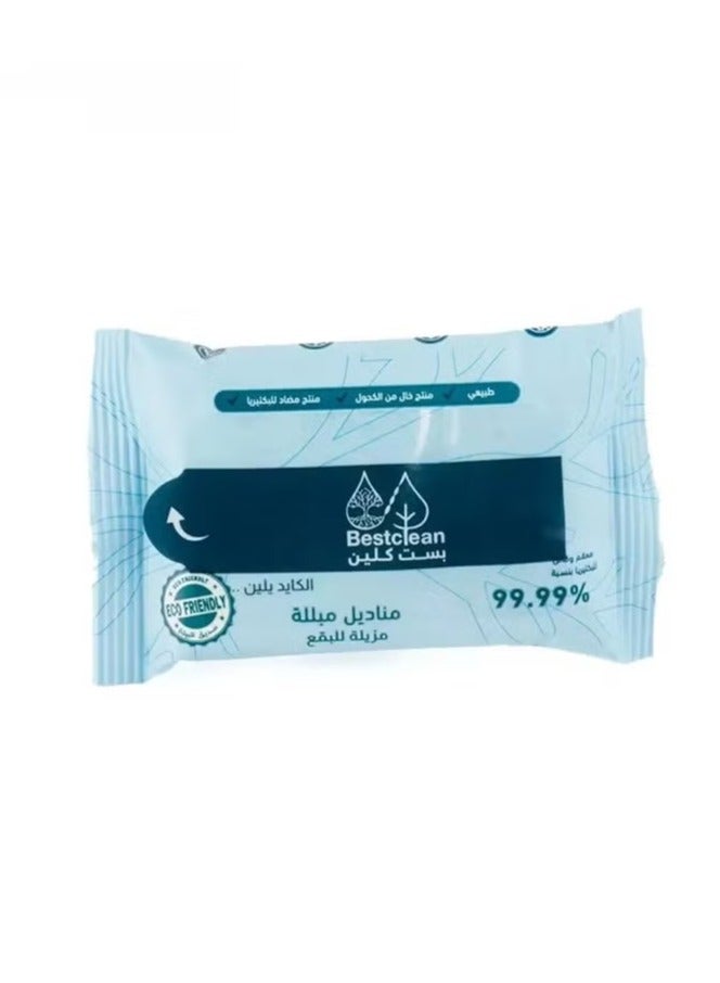 Bestclean Stain Remover Wet Wipes - 1piece - Image 2