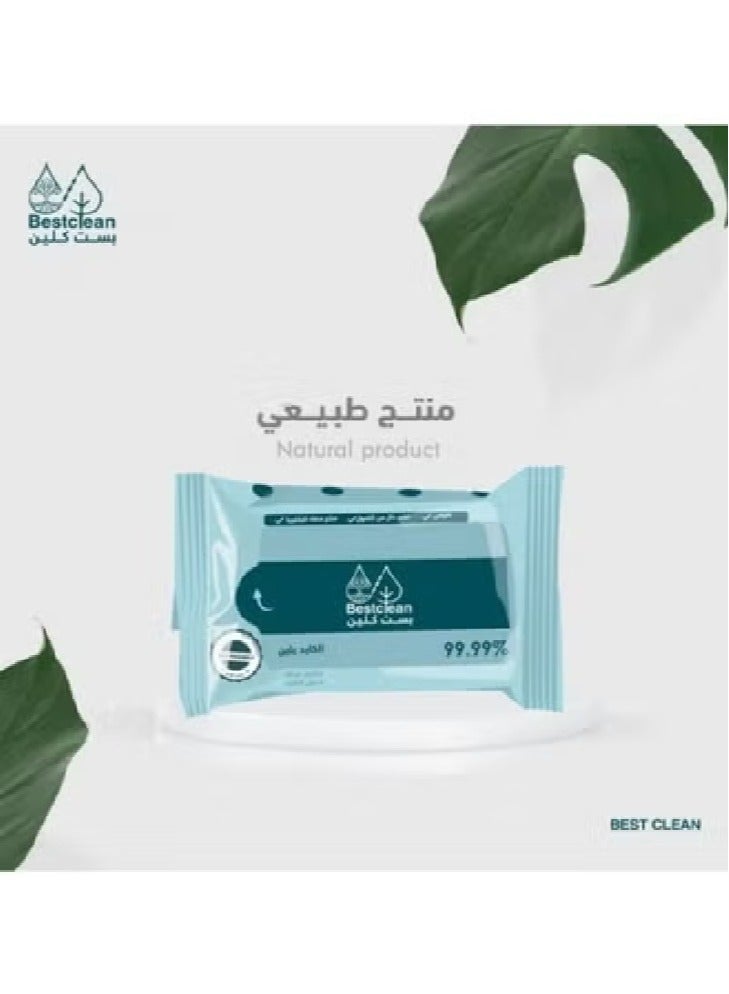 Bestclean Stain Remover Wet Wipes - 1piece - Image 3