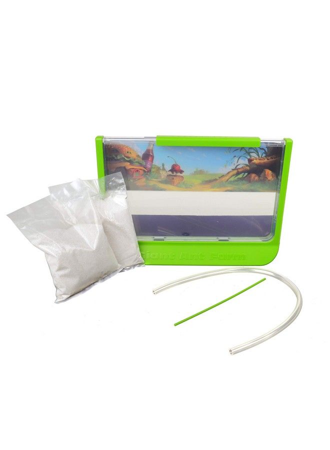 Uncle Milton Giant Ant Farm Large Viewing Area Care For Live Ants Nature Learning Toy Science Diy Toy Kit Great Gift For Boys & Girls Green - Image 5