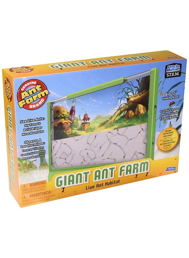Uncle Milton Giant Ant Farm Large Viewing Area Care For Live Ants Nature Learning Toy Science Diy Toy Kit Great Gift For Boys & Girls Green - Image 3