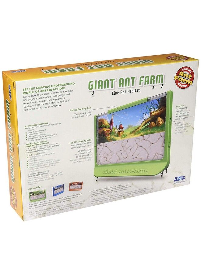 Uncle Milton Giant Ant Farm Large Viewing Area Care For Live Ants Nature Learning Toy Science Diy Toy Kit Great Gift For Boys & Girls Green - Image 4