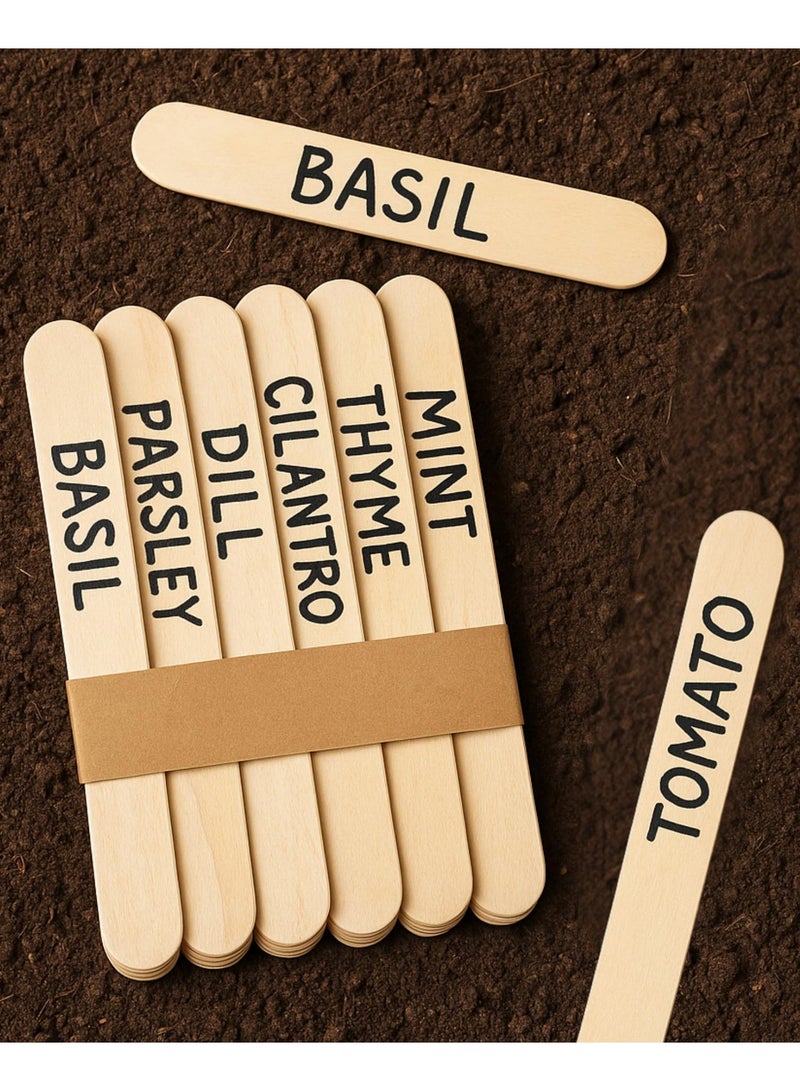 كرافت ماجيك 50 عصي مصاصة عملاقة - عصي خشبية كبيرة للمثلجات والحرف - 150 مم × 19 مم عصي مصاصة خشبية طبيعية للحرف وملصقات النباتات. - Image 2