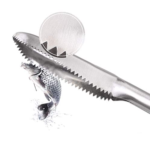 Futaba مبشرة قشور السمك من الفولاذ المقاوم للصدأ من فوتابا - Image 2