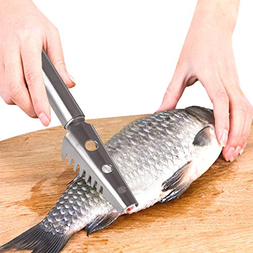 Futaba مبشرة قشور السمك من الفولاذ المقاوم للصدأ من فوتابا - Image 1