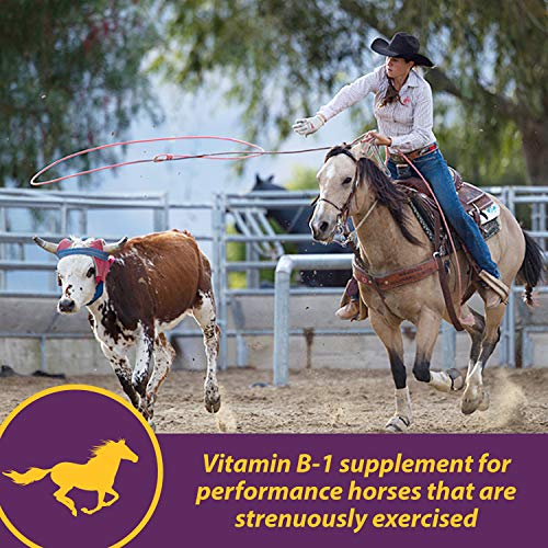 Farnam Horse Health Vita B-1 Crumbles Supplement for Horses, Supports optimal muscle activity and metabolism for performance, 20 pounds, 320 day supply - Image 2