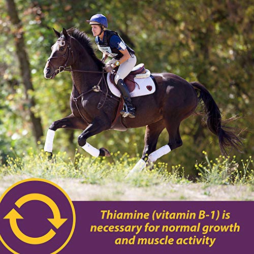 Farnam Horse Health Vita B-1 Crumbles Supplement for Horses, Supports optimal muscle activity and metabolism for performance, 20 pounds, 320 day supply - Image 3