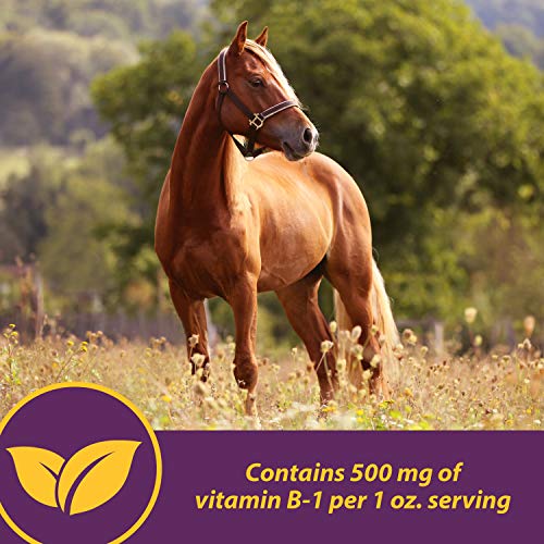 Farnam Horse Health Vita B-1 Crumbles Supplement for Horses, Supports optimal muscle activity and metabolism for performance, 20 pounds, 320 day supply - Image 4