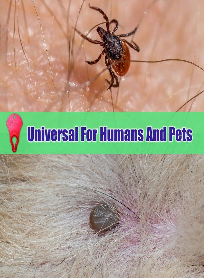 XuanShiTangMen Tick Remover Tool 3 Pack – Portable Tick Key for Pets, Dogs, Animals, and Humans – Quick & Safe Tick Removal Tool – Essential Outdoor Camping Gear for Easy and Reliable Use - Image 2