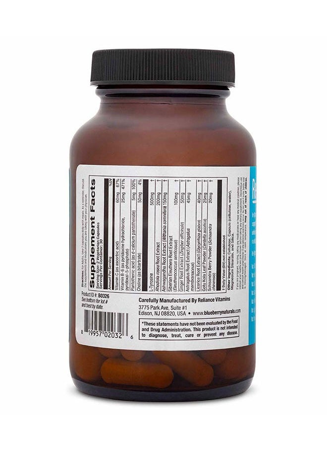 blueberry NATURALS Re-Sync V-Cap 60's  - Image 2
