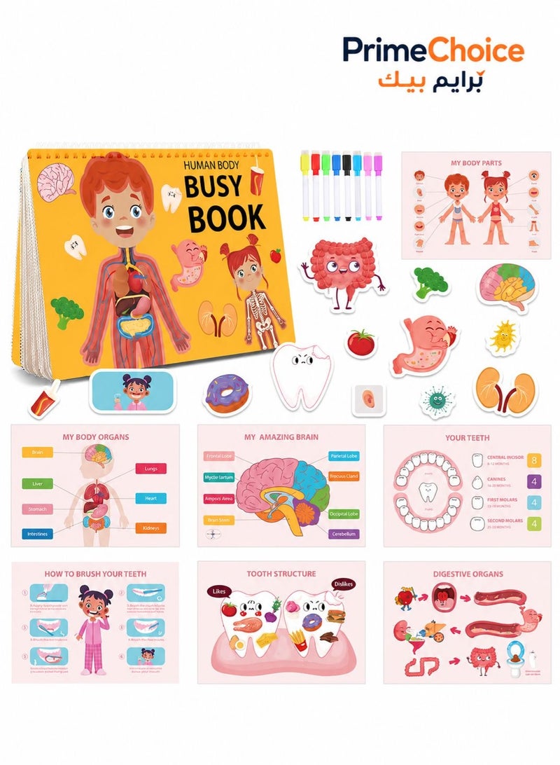 Prime Choice Human Body Busy Book for Toddlers 3-6 Years, Montessori Preschool Learning Activities, Anatomy & Body Parts Educational Quiet Book, Reusable Sticker Learning Book with 8 Washable Markers for Early Education - Image 1