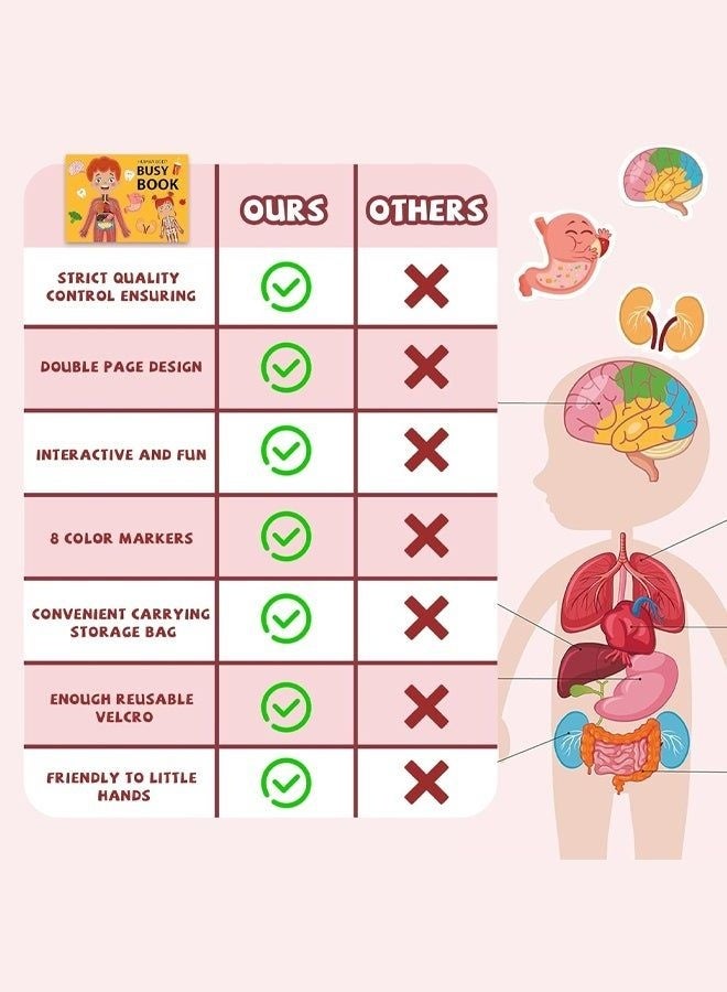 Prime Choice Human Body Busy Book for Toddlers 3-6 Years, Montessori Preschool Learning Activities, Anatomy & Body Parts Educational Quiet Book, Reusable Sticker Learning Book with 8 Washable Markers for Early Education - Image 3