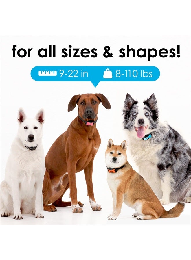 DogRook Dog Bark Collar - Rechargeable Smart Anti Barking Collar for Dogs - Waterproof No Shock Bark Collar for Small/Medium/Large Dogs - Anti Bark Collar for Dogs with 5 Sensitivity Levels - Image 2