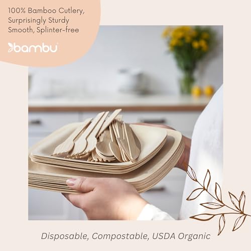 Bambu Pack of 250 - Bamboo Spoons Disposable Set, Biodegradable Eco Friendly Products, Bamboo Utensils for Events, Compostable Cutlery - Bulk Case - Image 3