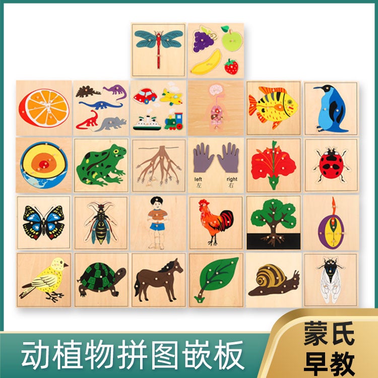 Montessori Teaching Aids Wooden Puzzle Children'S Early Education Big Wooden Nail Puzzle Kindergarten Basswood Animal And Plant Panel Toy - Image 2