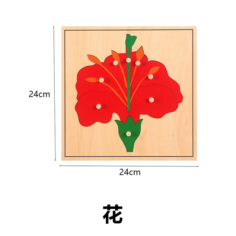 Montessori Teaching Aids Wooden Puzzle Children'S Early Education Big Wooden Nail Puzzle Kindergarten Basswood Animal And Plant Panel Toy - Image 1