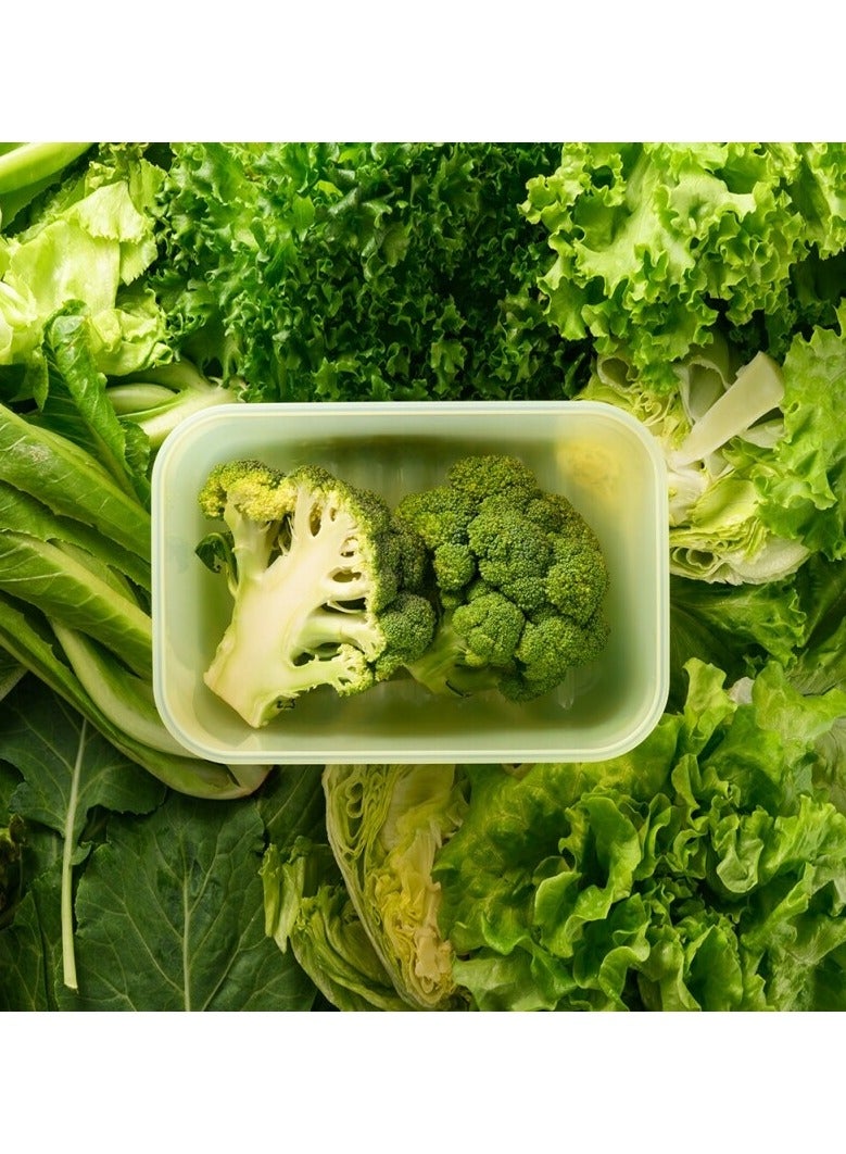 LocknLock Fresh Block Rectangle Container 330ml – 31-Day Freshness Solution - Image 2