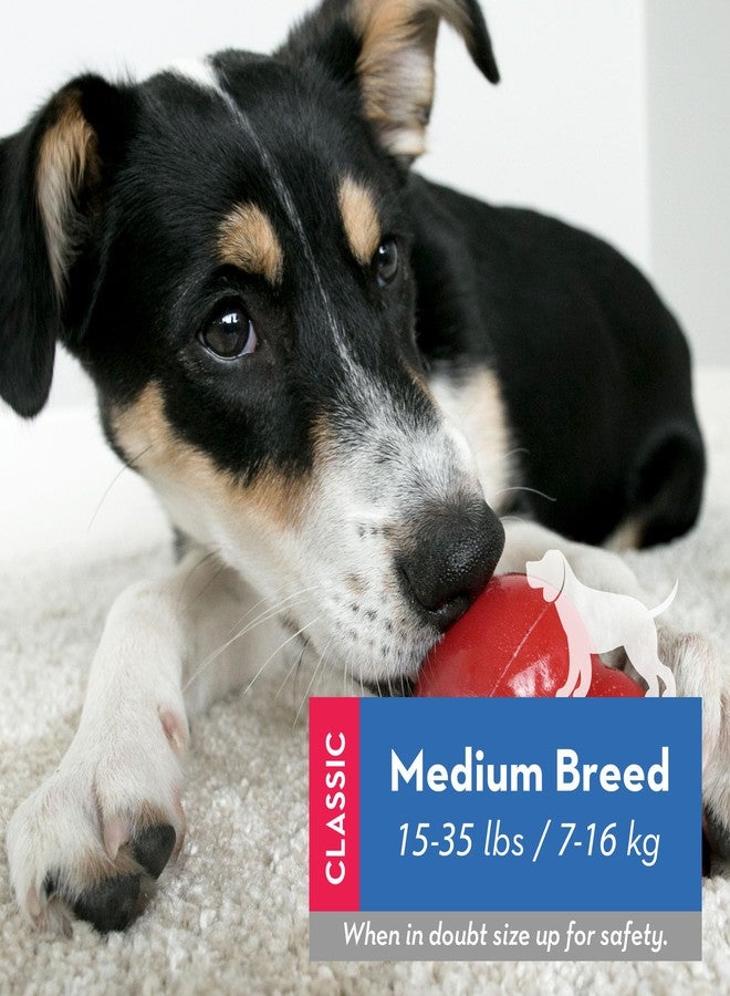 كونج مجموعة ألعاب كونغ الكلاسيكية مع مكافآت زيجيز المحسّنة - لعبة مضغ متينة للكلاب - مع مكافآت زيجيز المحسّنة - إكسسوارات للكلاب للمرح والصحة - للكلاب متوسطة الحجم - Image 2