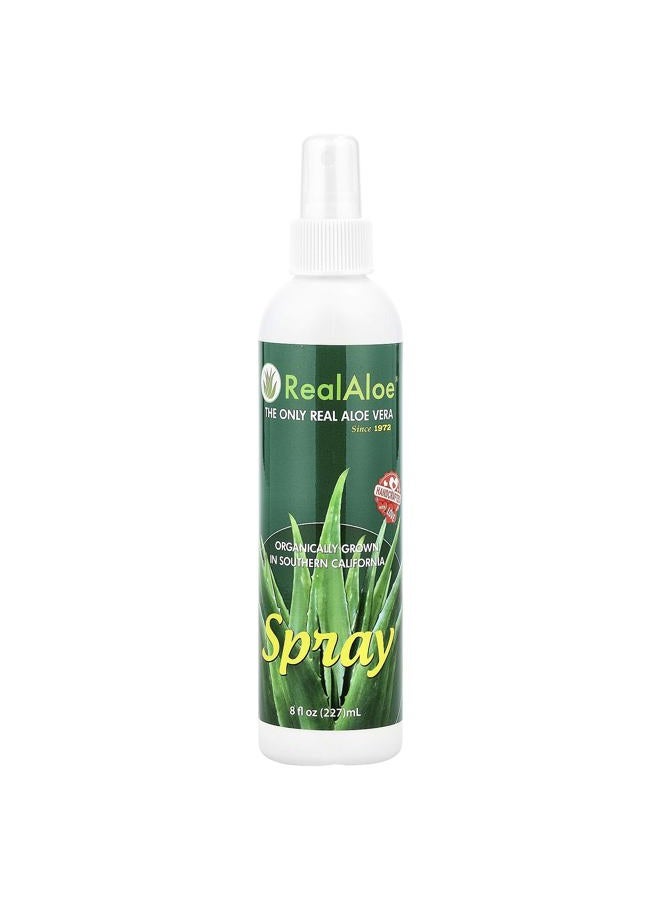 Real Aloe Inc Aloe Vera Spray - 8 oz - Image 1