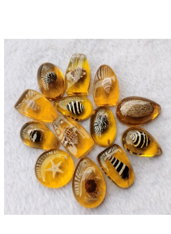 OASIS-TH Pendants, 7 Pieces Mixed Amber Resin Material Contains Starfish Conch Shell Pendants for Kids Learning, No String  - Image 2