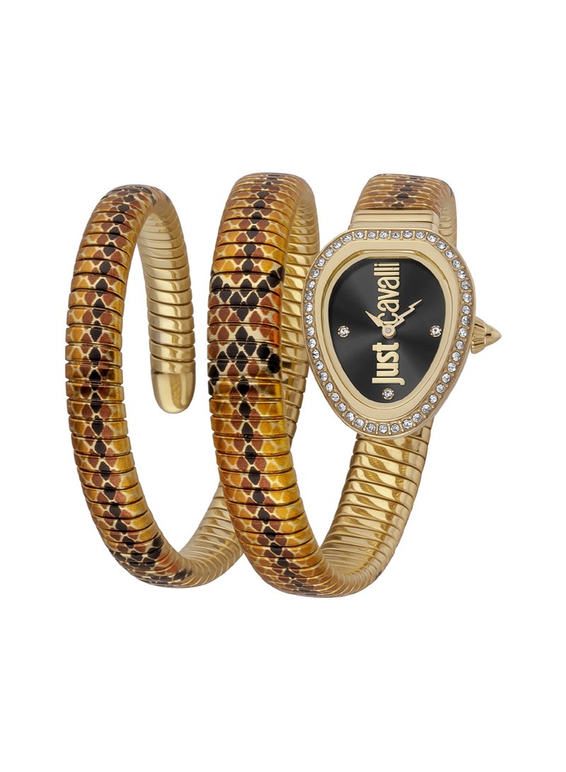 Just Cavalli ساعة نسائية أنالوج كوارتز من الفولاذ المقاوم للصدأ JC1L163M0065 - Image 1