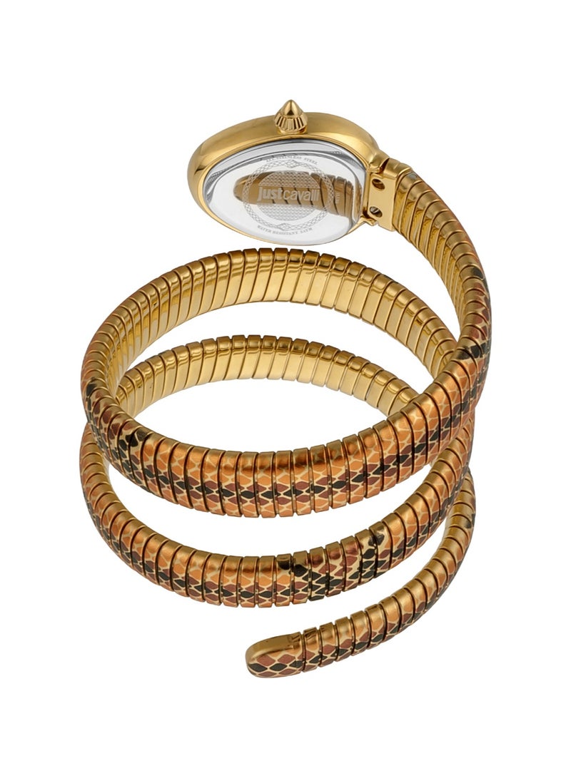 Just Cavalli ساعة نسائية أنالوج كوارتز من الفولاذ المقاوم للصدأ JC1L163M0065 - Image 3