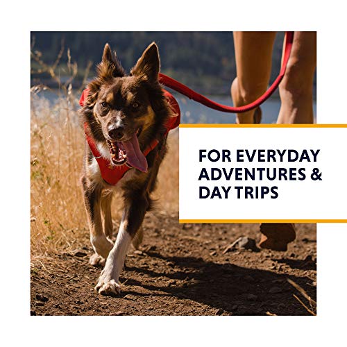 Ruffwear, Switchbak Dog Harness, No‑Pull Adjustable Vest with Front & Back Leash Points, Foam‑Padded, Zippered Pockets, Quick‑Release Buckles, Reflective Trim, Granite Gray, X-Small - Image 3