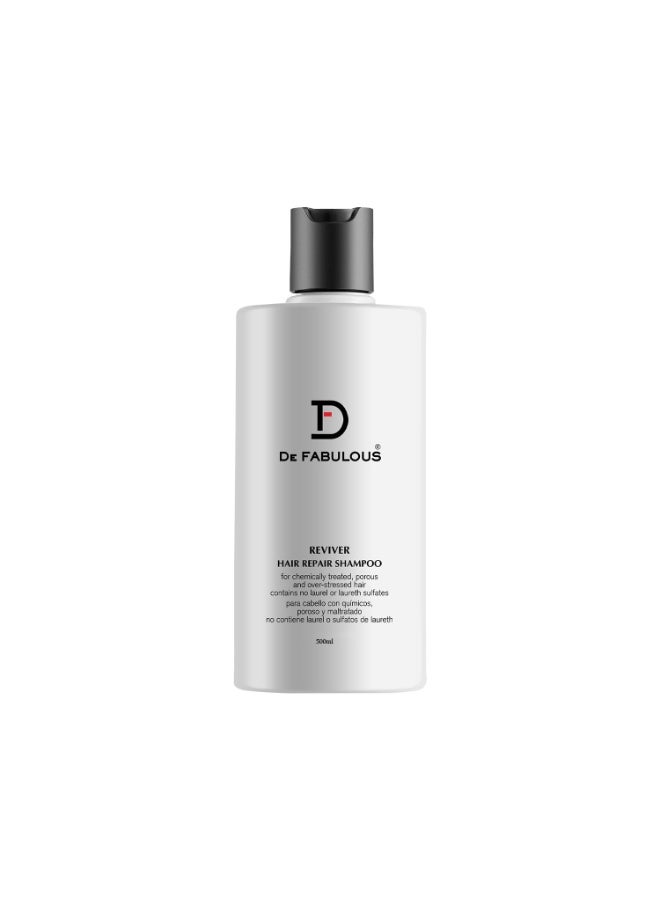 De Fabulous Reviver shampoo | Repairs Dry & Frizzy Hair, Sulphate Free, pH Balanced, Hair Repair Treatment for All Hair Types. - Image 1