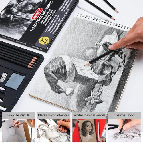 PANDAFLY Drawing Sketching Pencil Set, 22 Piece Pro Art Pencil Kit - Graphite Pencils (12B-2H), Black and White Charcoal Pencils, Charcoal Sticks, Stumps, Eraser, Sharpeners - Image 4