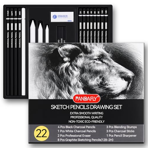 PANDAFLY Drawing Sketching Pencil Set, 22 Piece Pro Art Pencil Kit - Graphite Pencils (12B-2H), Black and White Charcoal Pencils, Charcoal Sticks, Stumps, Eraser, Sharpeners - Image 1