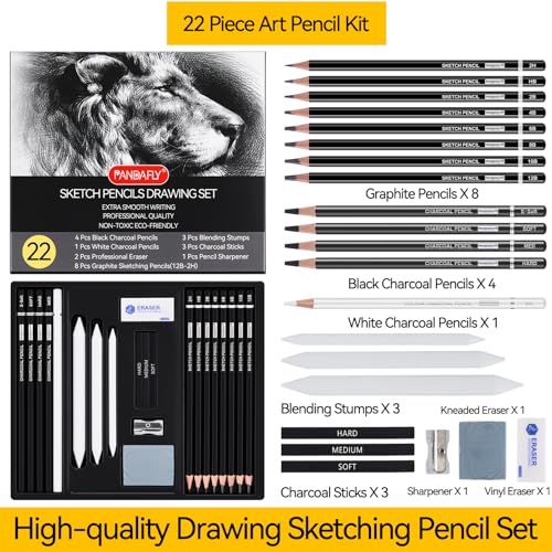 PANDAFLY Drawing Sketching Pencil Set, 22 Piece Pro Art Pencil Kit - Graphite Pencils (12B-2H), Black and White Charcoal Pencils, Charcoal Sticks, Stumps, Eraser, Sharpeners - Image 2