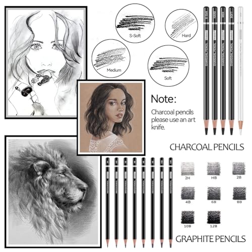 PANDAFLY Drawing Sketching Pencil Set, 22 Piece Pro Art Pencil Kit - Graphite Pencils (12B-2H), Black and White Charcoal Pencils, Charcoal Sticks, Stumps, Eraser, Sharpeners - Image 3