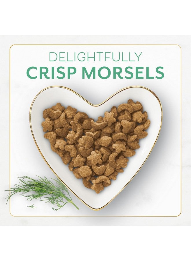 بيورينا فانسي فيست طعام القطط الجاف بورينا فانسي فيست مع أسماك المحيط والسلمون - كيس 3 رطل - Image 2