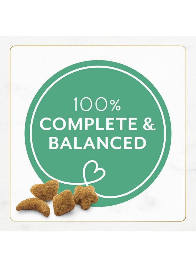 بيورينا فانسي فيست طعام القطط الجاف بورينا فانسي فيست مع أسماك المحيط والسلمون - كيس 3 رطل - Image 3