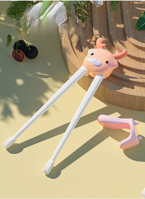 Tiger Learning Chopsticks - Box