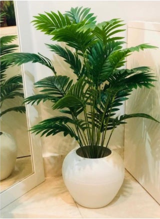 Artificial trees 85cm - pzsku/ZC0679C5D0340BF43928EZ/45/1746221239/66c93912-705e-45a6-9dcd-5d8dedbfd3f7