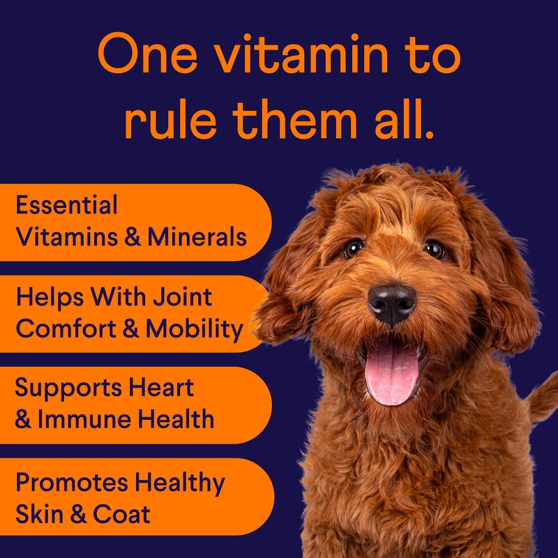 Finn All-in-1 Multivitamin for Dogs - Daily Multi with Probiotics, Omegas & Nutrients to Support Everyday Wellness - 90 Soft Chews - Image 2