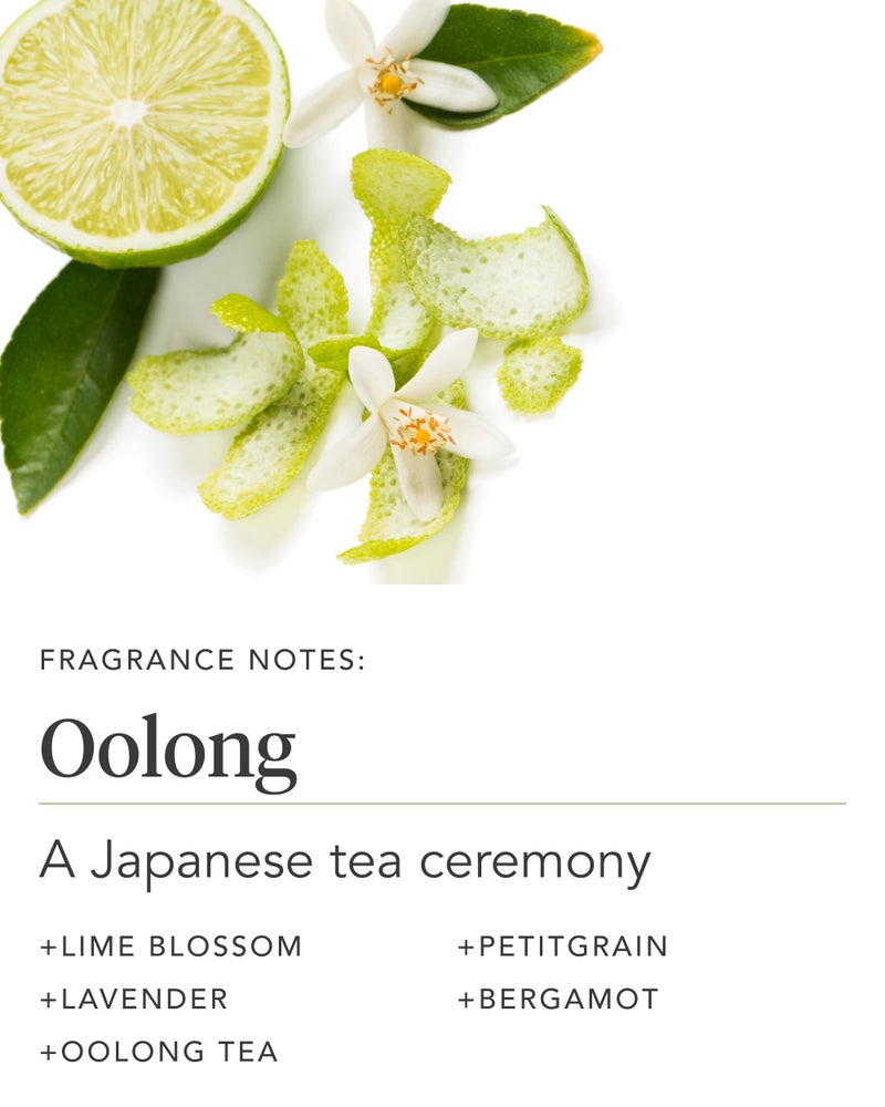 Zents Age-Defying Probiotic Body & Hand Lotion (Oolong) | Moisturizing Lotion with Hyaluronic Acid & Organic Shea Butter | Nourishes & Hydrates Skin | 6.4 fl oz - Image 4