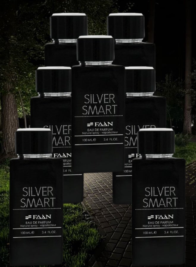 فاان 7 قطع عطر سيلفر سمارت 100مل - Image 1