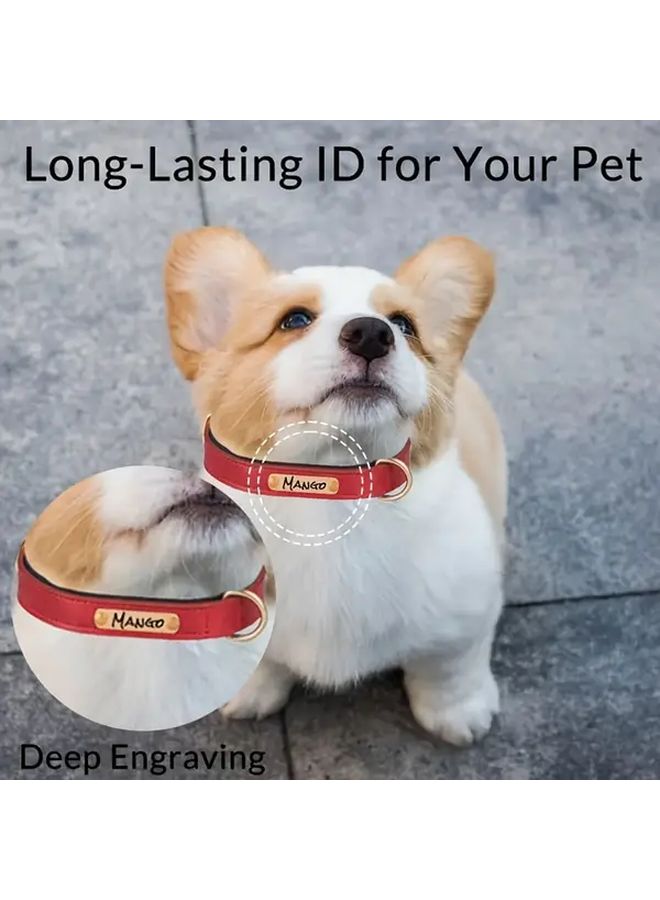 طوق كلب أحمر كبير الحجم قابل للنقش من الجلد الصناعي مع عاكس ليلي مخصص - Image 4