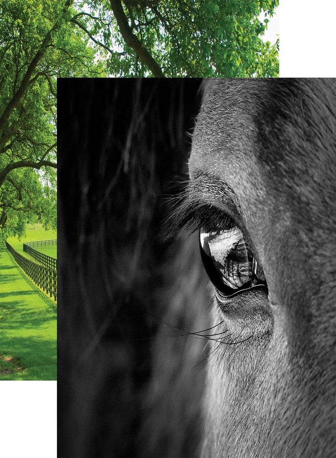 Paper House Productions 12" x 12" 9-Sheet Decorative Double Sided Paper Pack for Scrapbooking and Crafts - Horse Heaven - Image 3