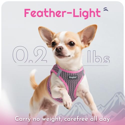 Eagloo Small Dog Harness and Leash Set, Step in Puppy Vest with Breathable Soft Mesh, Walking Reflective Pet Harness for Medium Small Dogs, Pink, M - Image 5