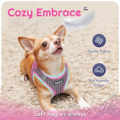 Eagloo Small Dog Harness and Leash Set, Step in Puppy Vest with Breathable Soft Mesh, Walking Reflective Pet Harness for Medium Small Dogs, Pink, M - Image 4