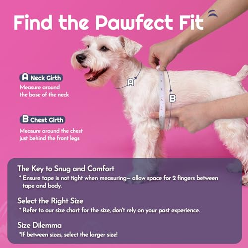 Eagloo Small Dog Harness and Leash Set, Step in Puppy Vest with Breathable Soft Mesh, Walking Reflective Pet Harness for Medium Small Dogs, Pink, M - Image 2