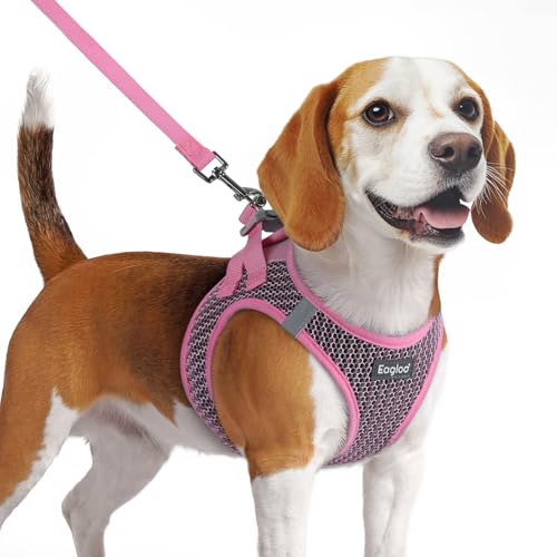 Eagloo Small Dog Harness and Leash Set, Step in Puppy Vest with Breathable Soft Mesh, Walking Reflective Pet Harness for Medium Small Dogs, Pink, M - Image 1