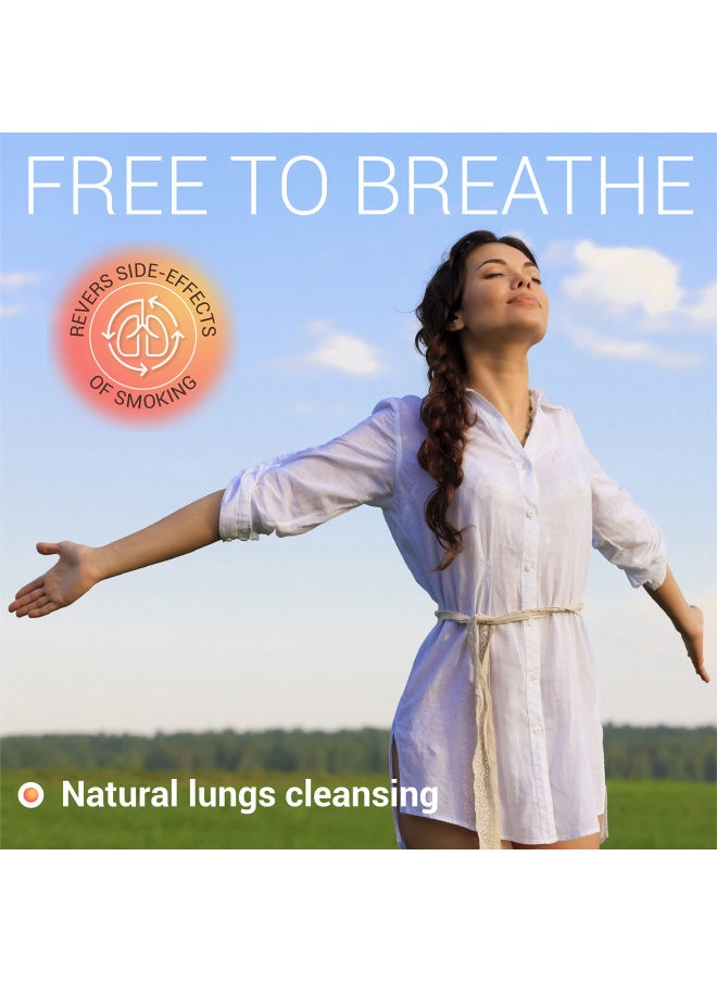 FabLab Fablab Mullein Leaf Extract With Elderberry 4 Fl Oz   Made In Usa   Drops For Better Lung   Mullein Tincture For Lung Detox   Bronchial Cleanse For Smokers   Respiratory Herbal Supplement  - Image 2