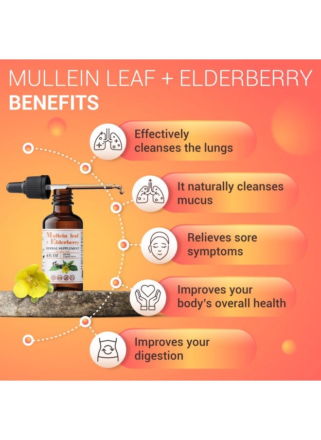 FabLab Fablab Mullein Leaf Extract With Elderberry 4 Fl Oz   Made In Usa   Drops For Better Lung   Mullein Tincture For Lung Detox   Bronchial Cleanse For Smokers   Respiratory Herbal Supplement  - Image 4