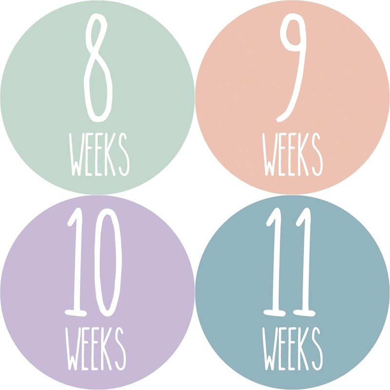 Months In Motion Weekly Pregnancy Growth Sticker  Week to Week Pregnant Expecting Photo Prop  Maternity Keepsake  Baby Bump  Weekly Stickers Photo Set of 36 Stickers - Image 1