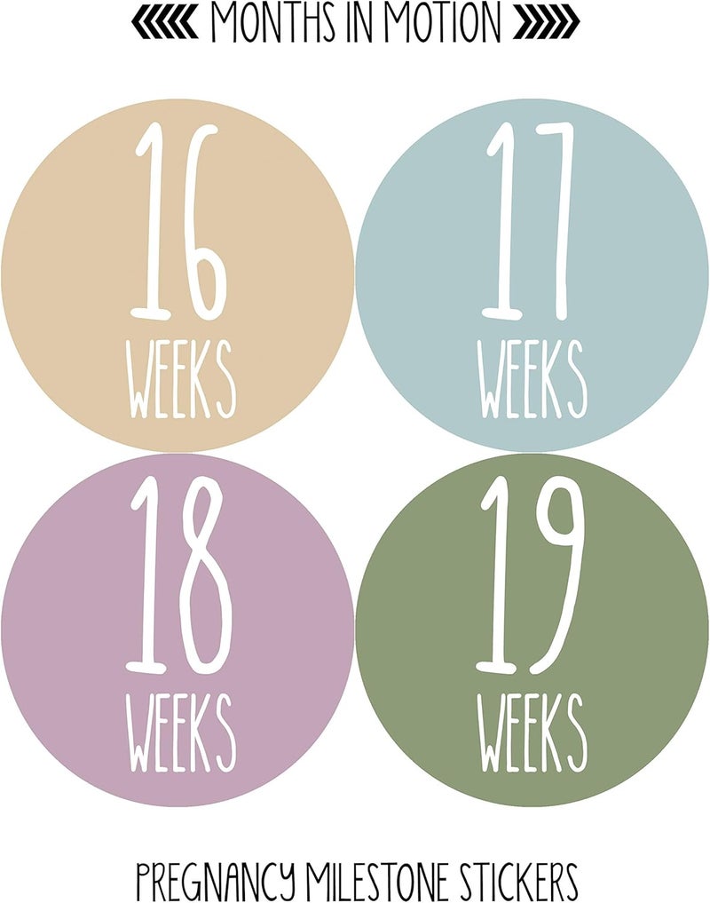 Months In Motion Weekly Pregnancy Growth Sticker  Week to Week Pregnant Expecting Photo Prop  Maternity Keepsake  Baby Bump  Weekly Stickers Photo Set of 36 Stickers - Image 3