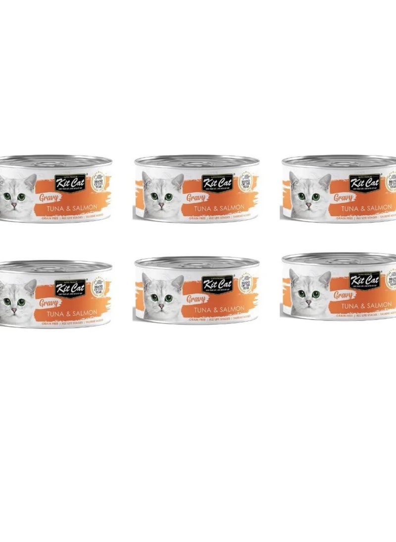 Wet cat food with tuna and salmon flavor with broth 6 packs weighing 70g - pzsku/ZC06AFE6A29744E921670Z/45/_/1720979385/25c7fa61-7a1f-46dc-96ad-91613aa75d5c